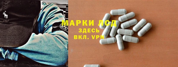 гидра Арсеньев