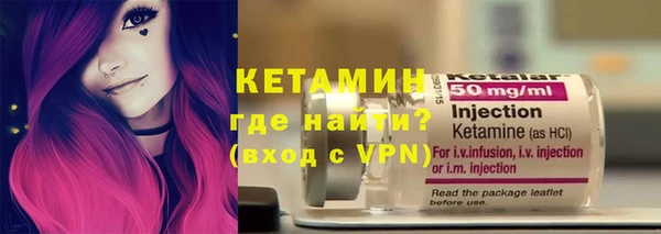 стаф Аркадак