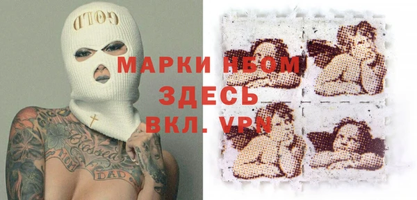 гидра Арсеньев
