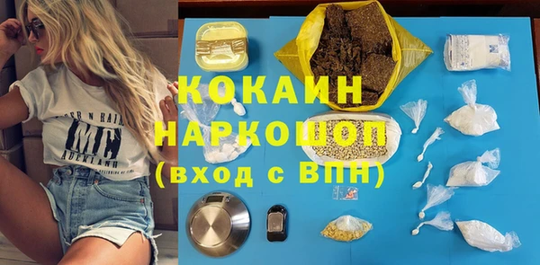 стаф Аркадак