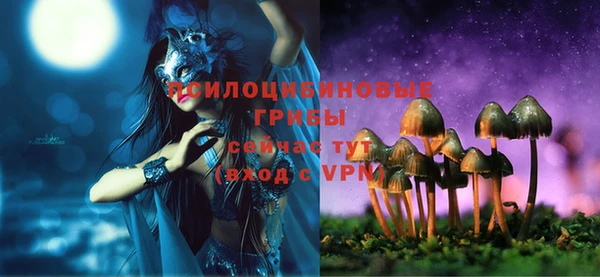 PSILOCYBIN Балахна